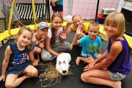 Живой уголок